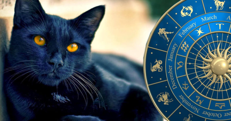 I segni più superstiziosi dello Zodiaco. Tutti pronti con gli scongiuri