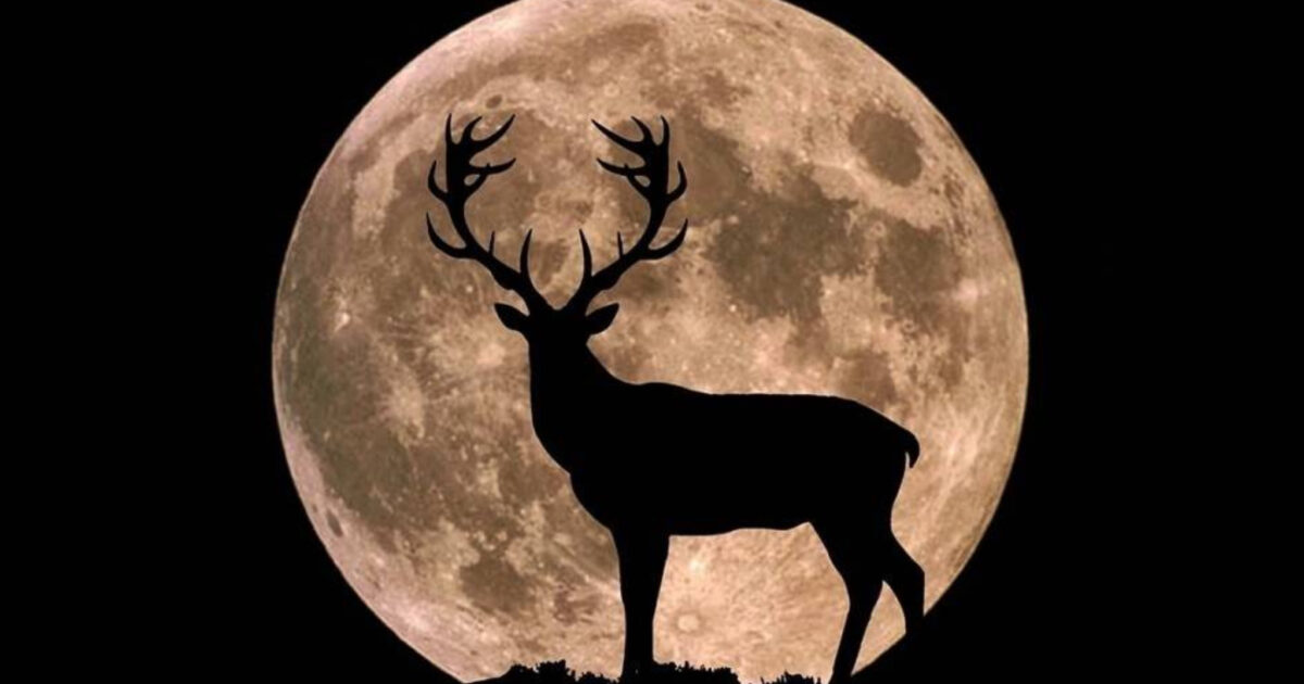 Luna piena del Cervo durante l’eclissi lunare del 5 Luglio 2020