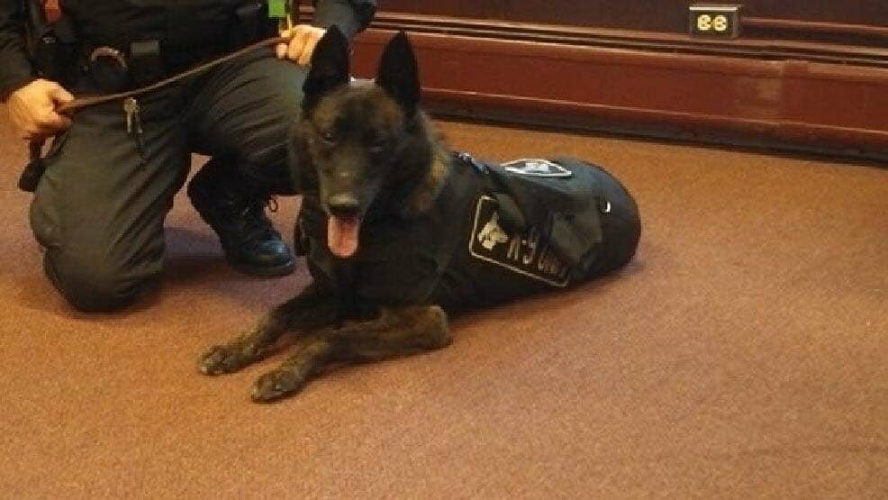 Il commosso addioagente al cane poliziotto