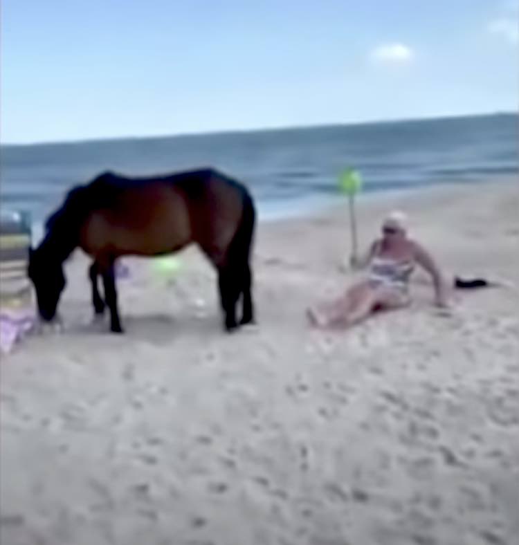 Una donna colpisce un cavallo selvaggio