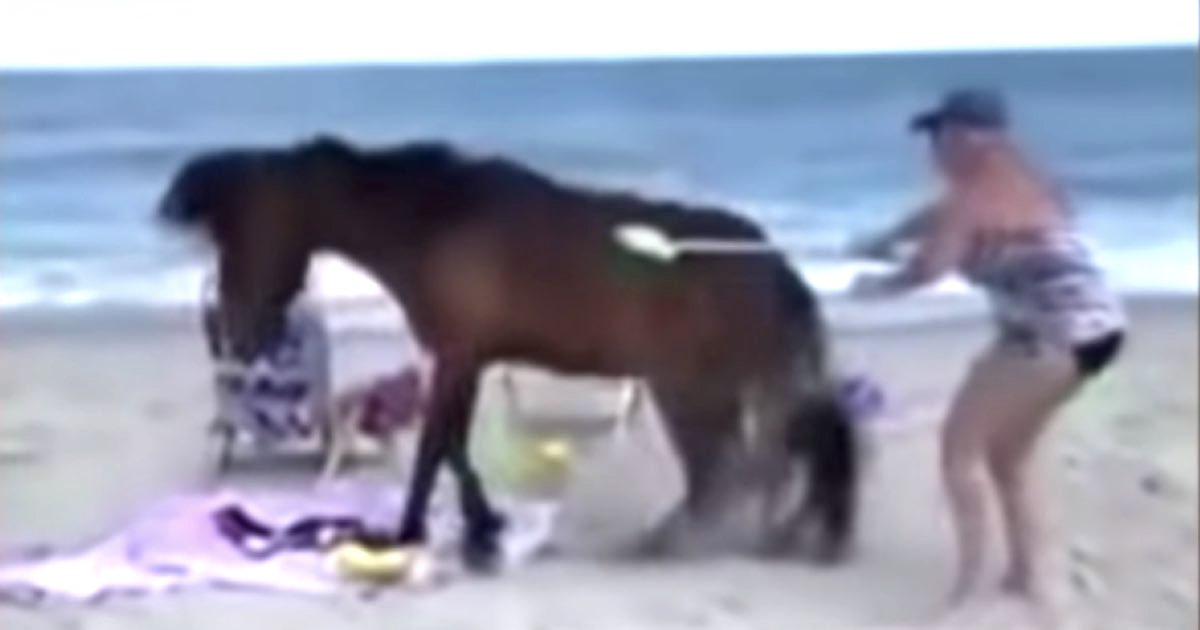 Una donna colpisce un cavallo selvaggio con la pala