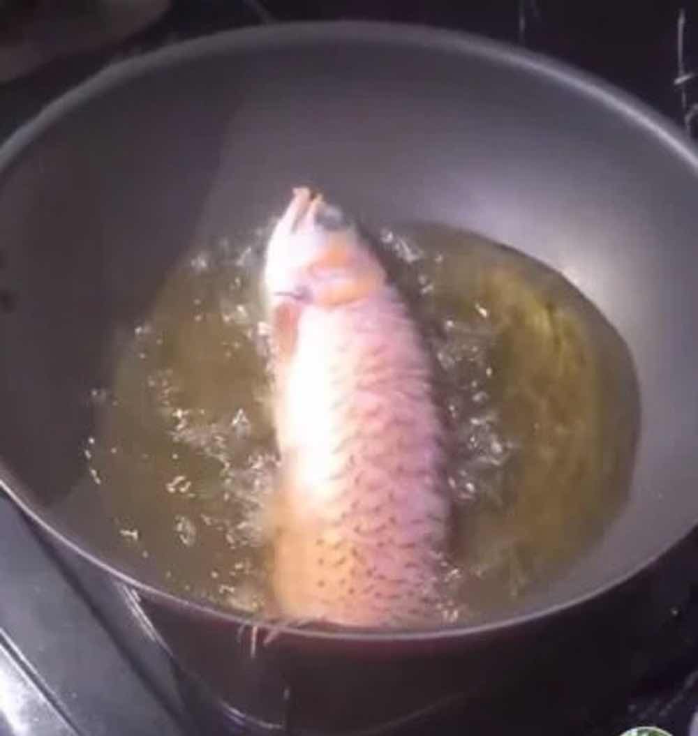 Cucina il pesce rosso